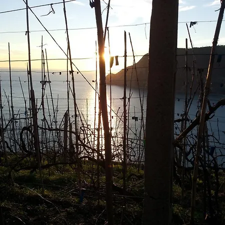 Torre Baciuga * Monterosso al Mare